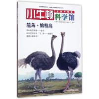 [新华书店]正版 鸵鸟·始祖鸟台湾牛顿出版股份有限公司9787544849197接力出版社 书籍