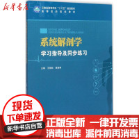 [新华书店]正版 系统解剖学学习指导及同步练  艳秋9787569010428四川大学出版社 书籍