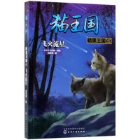 [新华书店]正版 猫王国·暗黑王国(5)(飞火流星)凤青钗化学工业出版社9787122320490 书籍