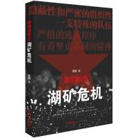 [新华书店]正版 特情侦查之湖矿危机黄磊法律出版社9787519718732 书籍