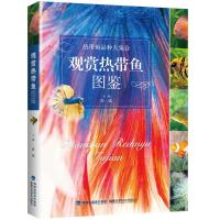 [新华书店]正版 观赏热带鱼图鉴张斌福建科学技术出版社9787533555184 书籍