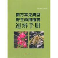 【新华书店】正版 南方常见典型野生药用植物速辨手册伍贤进9787564358952成都西南交大出版社有限公司 书籍