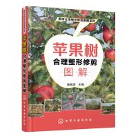 [新华书店]正版 苹果树合理整形修剪图解/果树合理整形修剪图解系列陈敬谊化学工业出版社9787122329509 书籍