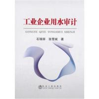 【新华书店】正版工业企业用水审计石锦丽冶金工业出版社9787502479381水利工程