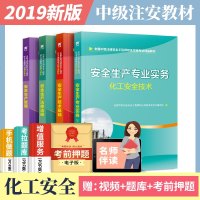 [新华书店]正版 全国中级注册安全   职业资格  精品教材•安全生产专业实务 化工安全技术