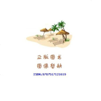 [新华书店]正版 新工业  之路张其金9787517121619中国言实出版社 书籍