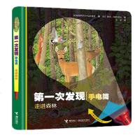 [新华书店]正版 D一次发现手电筒 走进森林 自然篇法国伽利玛少儿出版社接力出版社9787544858212 书籍