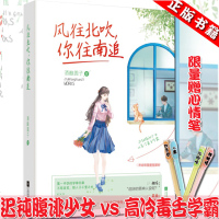 [新华书店]正版 风往北吹,你往南追酒酿圆子江苏凤凰文艺出版社9787559432414 书籍