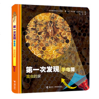 [新华书店]正版 D一次发现手电筒 昆虫的家 动物篇法国伽利玛少儿出版社接力出版社9787544858205 书籍