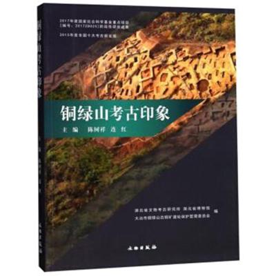 [新华书店]正版铜绿山考古印象湖北省文物考古研究所文物出版社9787501056576文物考古