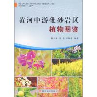 【新华书店】正版 黄河中游砒砂岩区植物图鉴杨久俊9787550914353黄河水利出版社 书籍