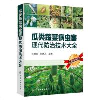 [新华书店]正版 瓜类蔬菜病虫害现代防治技术大全石明旺、刘彦文9787122333377化学工业出版社 书籍