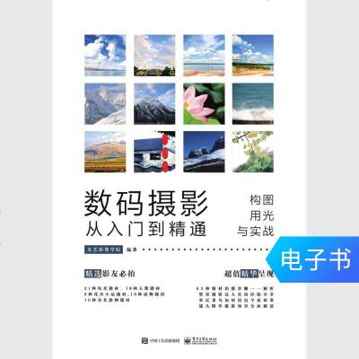 【新华书店】正版 数码摄影从入门到精通：构图、用光与实战光艺影像学院9787121326608电子工业出版社 书籍