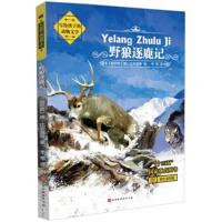 [新华书店]正版 写给孩子的动物文学?野狼逐鹿记维·比安基等北京时代华文书局9787569924671 书籍
