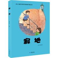 [新华书店]正版 柳叶鱼林彦红旗出版社9787515107103 书籍