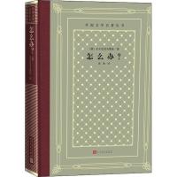 [新华书店]正版 怎么办?车尔尼雪夫斯基人民文学出版社9787020150687 书籍