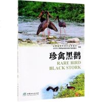 [新华书店]正版 珍禽黑鹳山西省自然保护区管理站中国林业出版社9787521900958 书籍