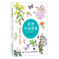 [新华书店]正版 林中植物/自然手绘图鉴长谷川哲雄人民邮电出版社9787115505002 书籍