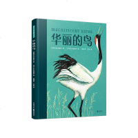[新华书店]正版 华丽的鸟/暖房子华人原创绘本英国沃克出版社北京联合出版公司9787559631923 书籍