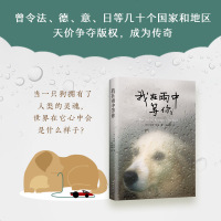 [新华书店]正版我在雨中等你加思·斯坦南海出版公司9787544272681外国小说