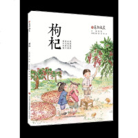 [新华书店]正版 万物启蒙•枸杞钱锋济南出版社9787548838890 书籍