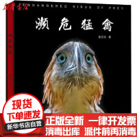 【新华书店】正版 濒危猛禽张志浩9787555112242广西科学技术出版社 书籍