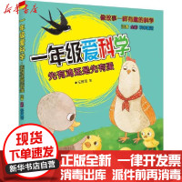 [新华书店]正版 1年级爱科学 注音全彩科学童话 先有鸡还是先有蛋王维浩春风文艺出版社9787531356387 书籍