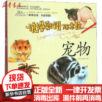 [新华书店]正版 浪漫彩铅随意绘 宠物七彩绘工作室9787531483045辽宁美术出版社 书籍