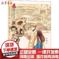 [新华书店]正版 国粹传奇系列•画石奇缘周锐希望出版社9787537982245 书籍