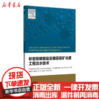 [新华书店]正版 砂岩和碳酸盐岩储层低矿化度工程注水技术郭春秋石油工业出版社9787518332748 书籍