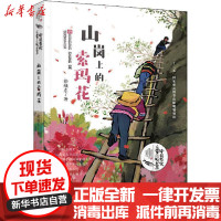 [新华书店]正版 中国当代儿童小说大系•山岗上的索玛花徐继东湖南少年儿童出版社9787556236565 书籍
