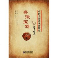 [新华书店]正版 熹微宝鸡 北首岭卷无陕西科学技术出版社9787536972087 书籍