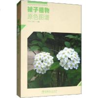 [新华书店]正版 被子植物原色图谱马永红中国林业出版社9787521901535 书籍