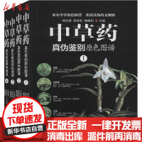 [新华书店]正版  草 真伪鉴别原色图谱(1-4)林余霖9787516914991华龄出版社 书籍