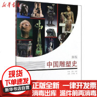 【新华书店】正版 中国雕塑史 新版王鹤9787561866283天津大学出版社 书籍