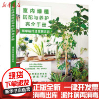 [新华书店]正版 室内绿植搭配与养护完全手册 用绿植打造花园家居安元祥恵化学工业出版社9787122365040 书籍