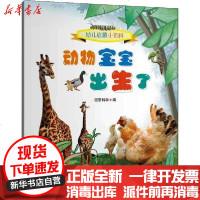 [新华书店]正版 幼儿启蒙小百科 •动物宝宝出生了佰思科学浙江教育出版社9787572200236 书籍