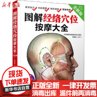 [新华书店]正版 图解经络穴位按摩大全 全新版马增斌9787518429417中国轻工业出版社 书籍