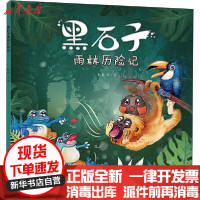 [新华书店]正版 黑石子雨林历险记彭彭少年儿童出版社9787558907586 书籍