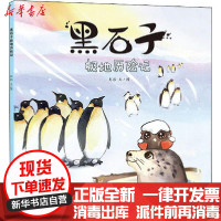 [新华书店]正版 黑石子极地历险记彭彭少年儿童出版社9787558907609 书籍