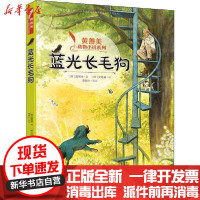 [新华书店]正版 黄善美动物小说系列•蓝光长毛狗黄善美接力出版社9787544863988 书籍