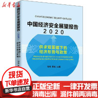 [新华书店]正版中国经济安全展望报告 2020 供求双萎缩下的经济形势与政策刘伟中国经济出版社978751366010