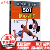[新华书店]正版 健身解剖图解501(核心训练)Natasha9787572303005山东科学技术出版社 书籍