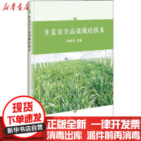 [新华书店]正版 生姜安全高效栽培技术宋银行9787511647269中国农业科学技术出版社 书籍
