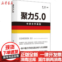 [新华书店]正版 聚力5.0 中德合作展望张彧9787559446893江苏文艺出版社 书籍