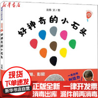 [新华书店]正版 创意游戏绘本•小石头音乐互动绘本 好神奇的小石头左伟新世纪出版社9787558322631 书籍