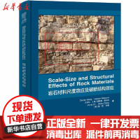 [新华书店]正版 岩石材料尺度效应及破断结构效应王树仁9787302559320清华大学出版社 书籍