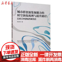 [新华书店]正版城市群 源集聚能力的时空演化机理与提升路径:以长江中游城市群为例郭庆宾中国经济出版社