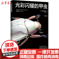 [新华书店]正版 光彩闪耀的甲虫丸山宗利9787569933994北京时代华文书局 书籍