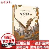【新华书店】正版 动物英豪:秋牧铃湖南少年儿童出版社9787556249473 书籍